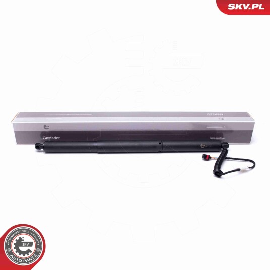 Elektromotor bakluke ESEN SKV 52SKV903 Elektromotor bakluke ESEN SKV 52SKV903