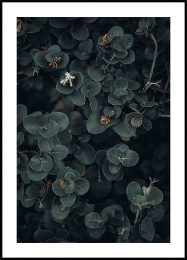 Dark And Green Botanical Plakat Plakat / 100x150cm