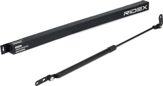 RIDEX 219G0431 Baklukedemper