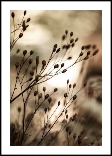 Autumn Lights Plakat / 40x50cm