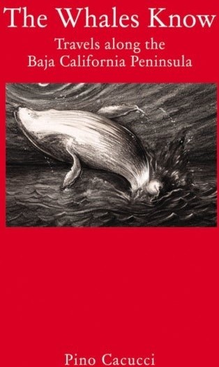 The Whales Know
