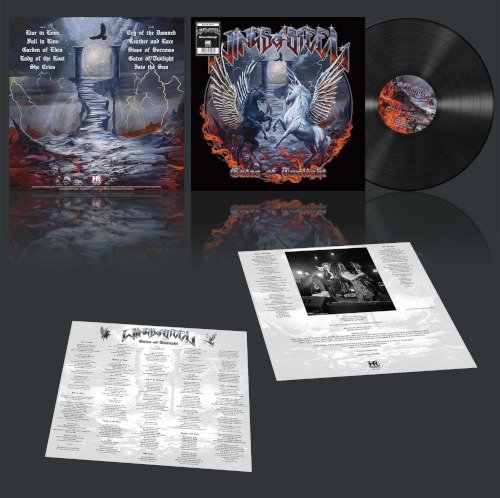 Wings Of Steel Gates Of Twilight Vinyl
