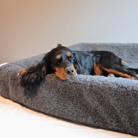 Canelana Hundesengtrekk i Ull 100x120 cm til Buster Memory Foam