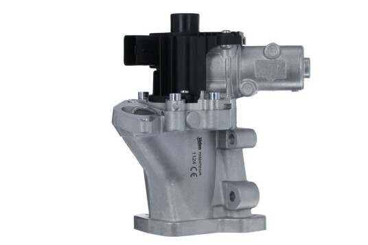 EGR Ventil VALEO 703247