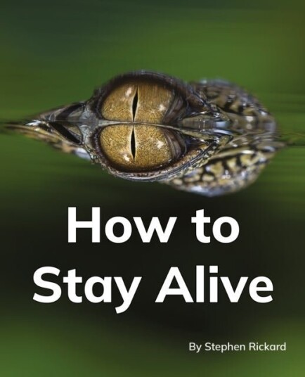 How to Stay Alive How to Stay Alive