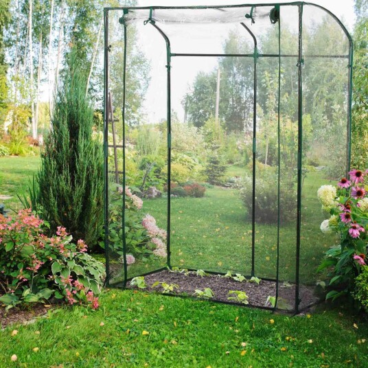 Tomatdrivhus laget av PVC-plast Tomatdrivhus laget av PVC-plast