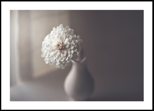 window light Plakat / 21x30cm window light Plakat / 21x30cm