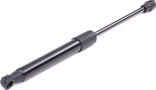 RIDEX 219G0247 Baklukedemper