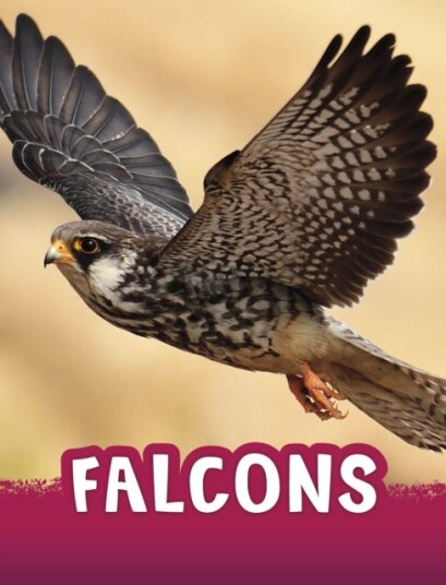 Falcons Av Jaclyn Jaycox