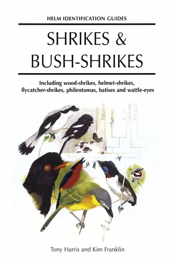 Shrikes and Bush Shrikes Shrikes and Bush Shrikes