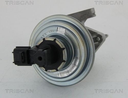 EGR ventil TRISCAN 8813 16045