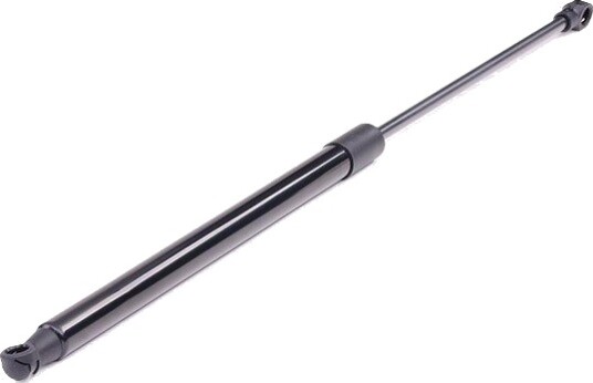 RIDEX 219G0272 Baklukedemper