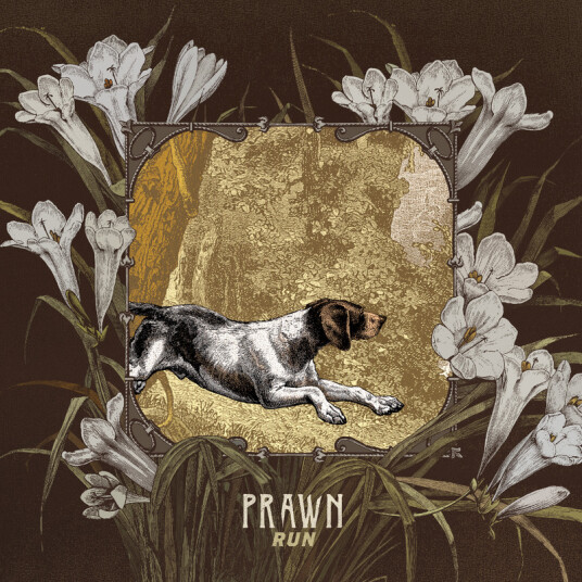 Prawn Run Kassett