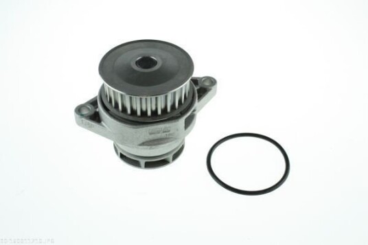 AUTOMEGA 160011710 Vannpumpe