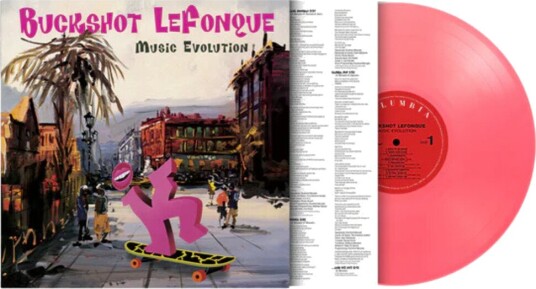 Music Evolution Vinyl