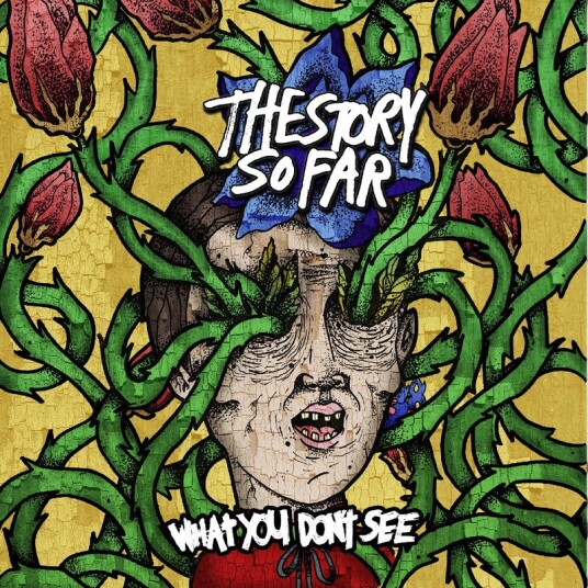 The Story So Far What You Dont See Vinyl