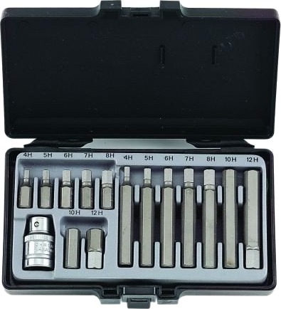 FORCE 4155 Sett, skrutrekkerbits