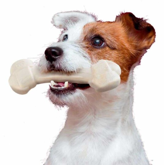 Ferplast Goodbite Natural Chicken Xl Tyggebein Hund 20.5Cm 250G