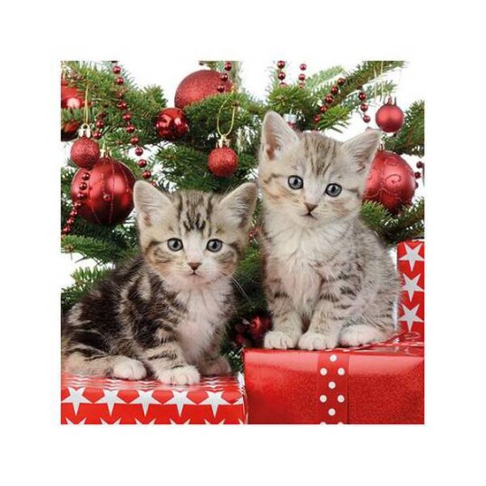 Kaffe serviett Christmas Kitten fra Ambiente