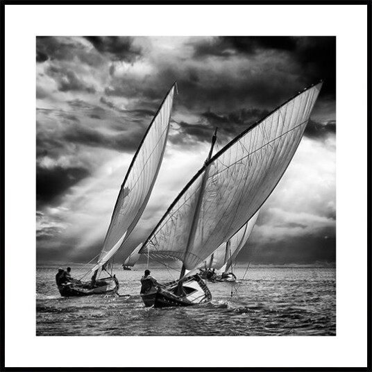Sailboats and Light Plakat Plakat / 50x50cm