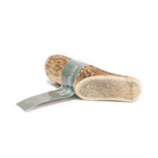 Taki Deer Antler S 10 cm (01-605)