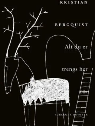 Alt Du Er Trengs Her Av Kristian Bergquist