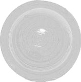 PROPLAST 40118103 Lysskive, omrisslys