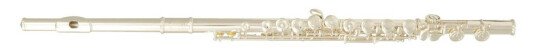 Sml Paris Fl400e C Key