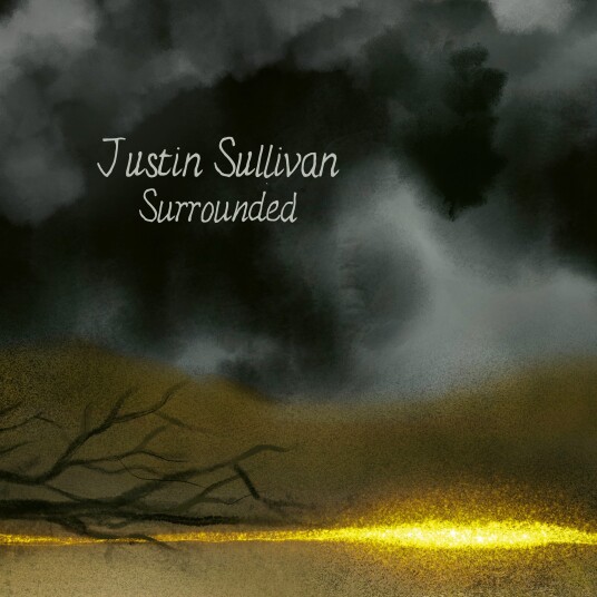 Justin Sullivan Surrounded LP/Vinyl Justin Sullivan Surrounded LP/Vinyl