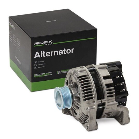 Dynamo RIDEX REMAN 4G0170R