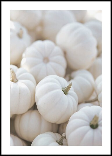 Small White Pumpkins Plakat Plakat / 100x150cm Small White Pumpkins Plakat Plakat / 100x150cm