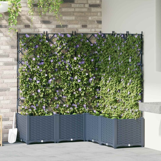 Hageplante med Espalier 5 stk Grå 120x120x143 cm Hageplante med Espalier 5 stk Grå 120x120x143 cm