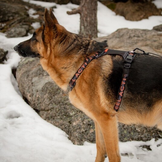 Feel Active Outdoor Hundsele Med Lomme Svart (L)