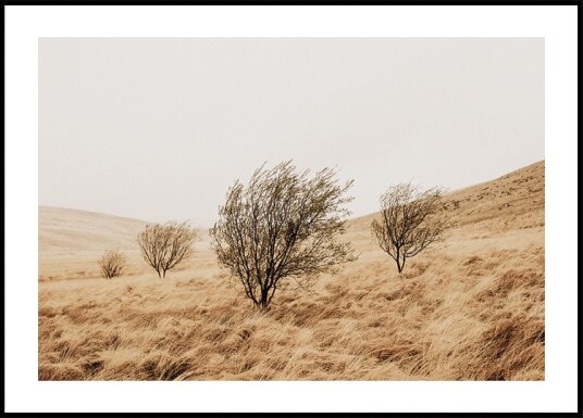 Autumn Grassy Field and Trees Plakat Plakat / 40x50cm
