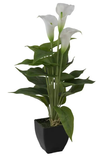 Europalms Mini Calla, White, 43cm Europalms Mini Calla, White, 43cm