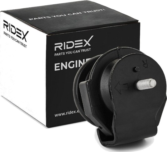 RIDEX 247E0589 Motorfeste