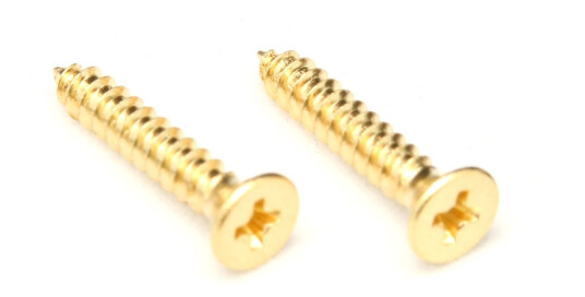 Floyd Rose Nut Top Mounting Screws 2 pcs Gold