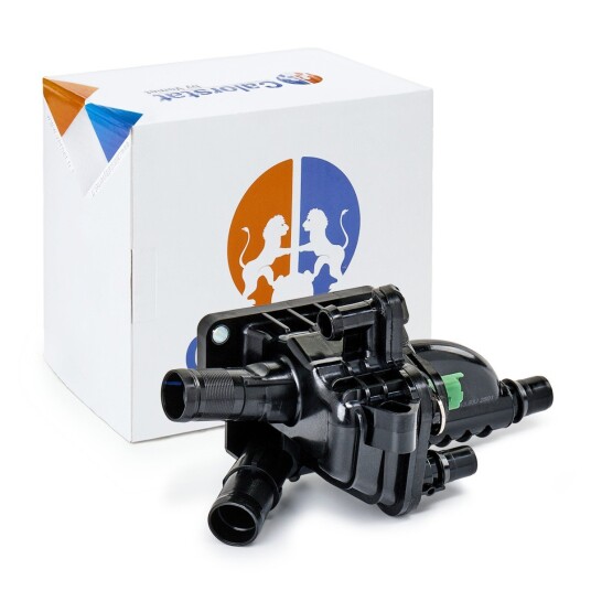 Termostat CALORSTAT by Vernet TH7243.83J
