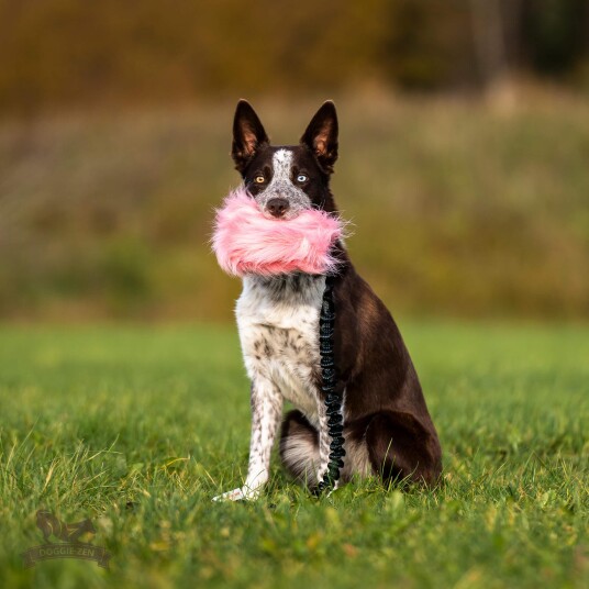 Doggie-Zen Doggie-Zen Langhåret Elastisk Belønningsleke I Fuskepels L