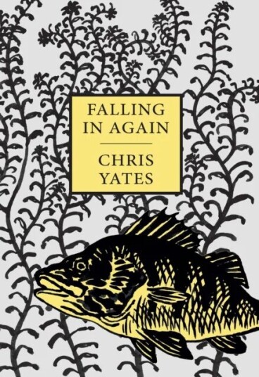 Falling In Again Av Chris Yates Falling In Again Av Chris Yates
