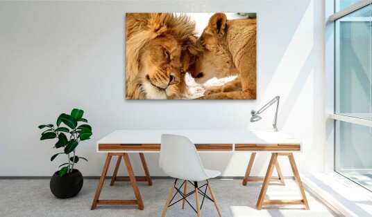 Tavle Love'S Secret 60X40 Artgeist sp. z o. o.