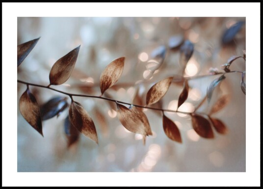 Delicate Bokeh Leaves Plakat / 21x30 Delicate Bokeh Leaves Plakat / 21x30