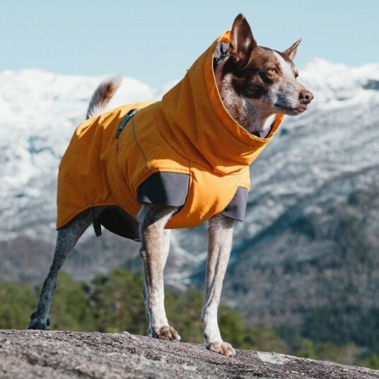 Hurtta Expedition Parka Vinterdekken 20 cm Oransje til Hund Hurtta Expedition Parka Vinterdekken 20 cm Oransje til Hund