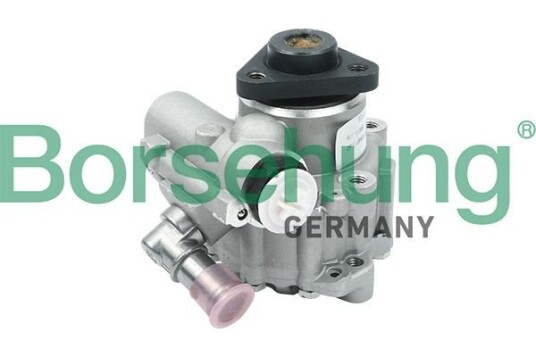 Servopumpe Borsehung B13210 Servopumpe Borsehung B13210