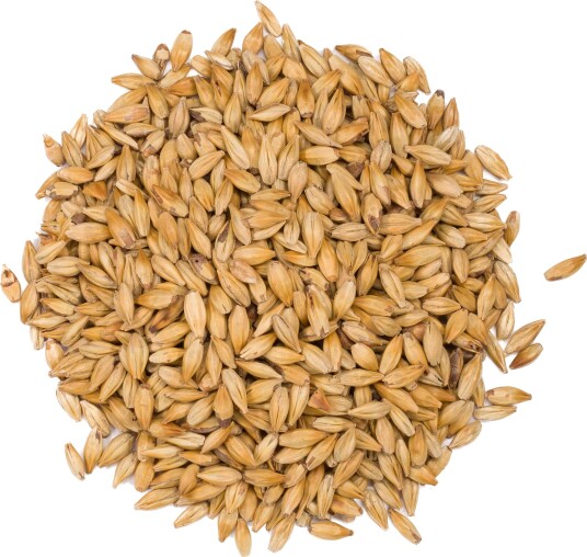 Viking Malt Caramel 30 1 kg Hel 25-35 EBC Viking Malt