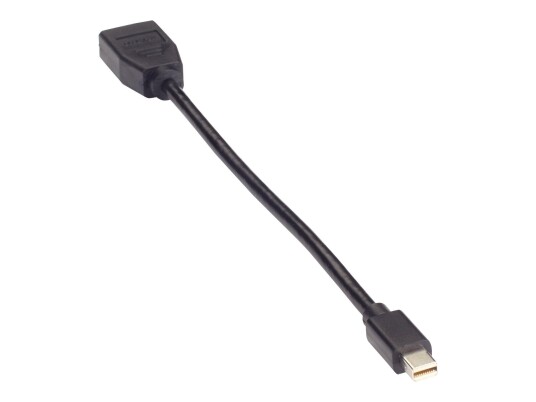 BLACK BOX Video Adapter Dongle - DisplayPort-adapter - 20.3 cm