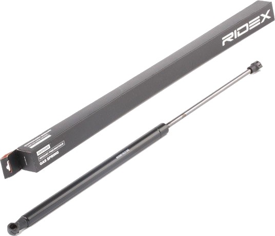 RIDEX 219G0288 Baklukedemper