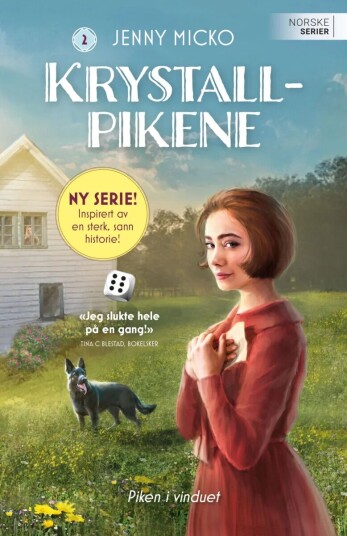 Piken I Vinduet Av Jenny Micko