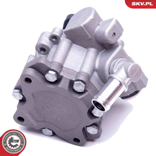Servopumpe ESEN SKV 10SKV248