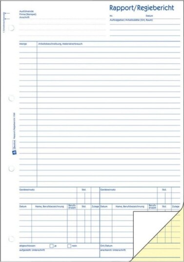 Avery Zweckform Rapport/Direktørrapport 40 Ark A4 210 X 297 Mm Dublett Karbonfri